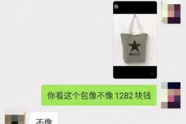 桦甸专业讨债公司有哪些核心服务？